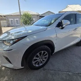 Lexus NX 250 2021