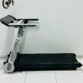 BEGAWOY LIZA TIRNAZOR TIGIR