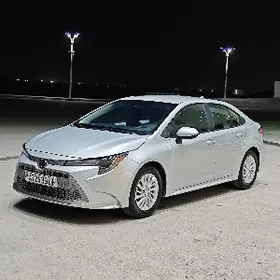 Toyota Corolla 2020