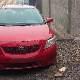 Toyota Corolla 2010