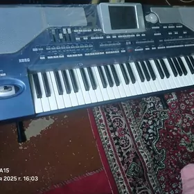 KORG PA 800