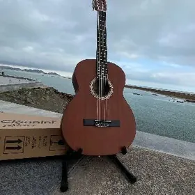 POLNY ELEKTRO GITARA
