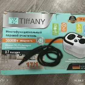 Пароочиститель bug bilen arass