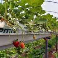 лоток для кокопита