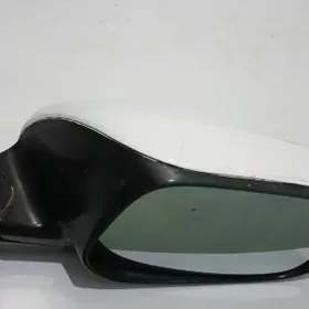 Öküz kelle bakawoý