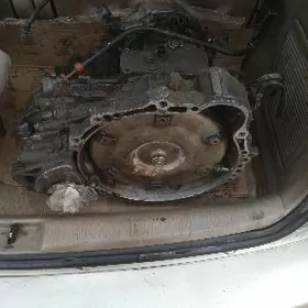 Karopga awalon siyena