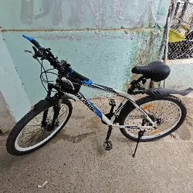 velik original fillips