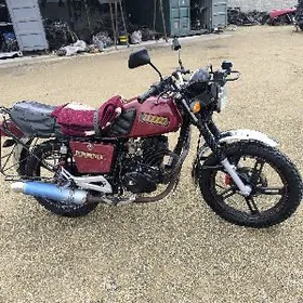 Fekon FK200-14G 2023