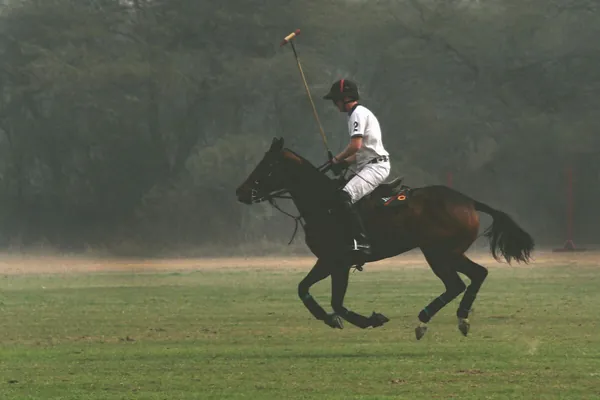Şazada Garri bilen Megan Markl polo oýny we ýokary gatlagyň durmuşy barada film çykarar
