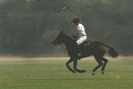 Принц Гарри и Меган Маркл выпустят фильм об игре в поло и светской жизни