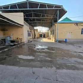 Coganly Asgabat koce