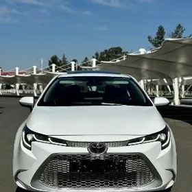 Toyota Corolla 2021
