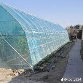 satlyk parnik teplissa