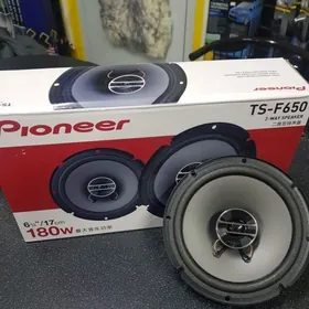 pioneer kalonka 13-16 cm