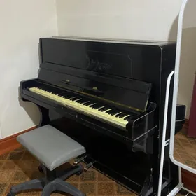 Pianino (украина )