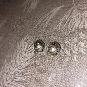 серёжки, серьги