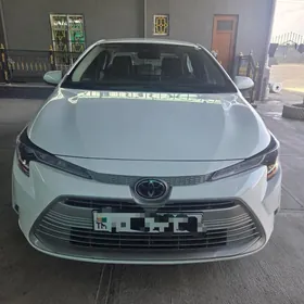 Toyota Corolla 2025