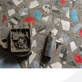 elektra pasoz   wozuhamer