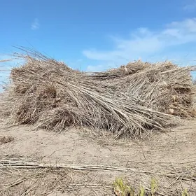 , hyssa gamys jay basyrlyan