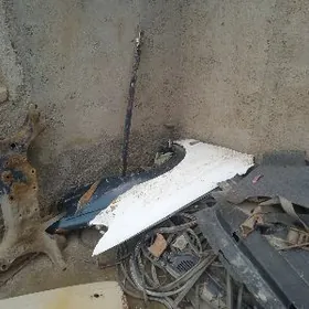 wista kemry şaýlar