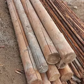 PURS AGAÇ ALYAS KONE JAÝAM