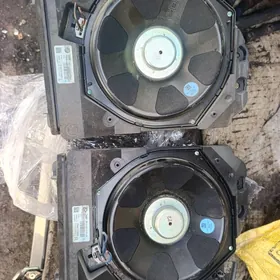 bas bocka radnoy bmw