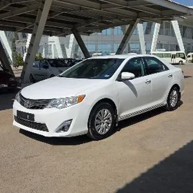 Toyota Camry 2013