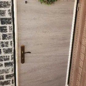 Дверь железная