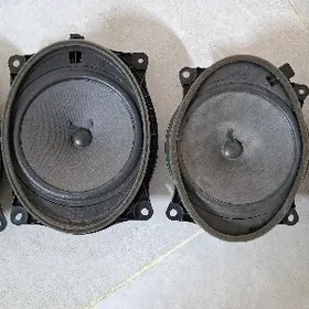 aziada palta kalonka