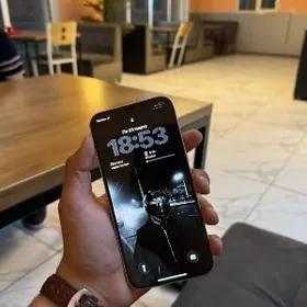 iPhone 12 Pro Max 256 GB