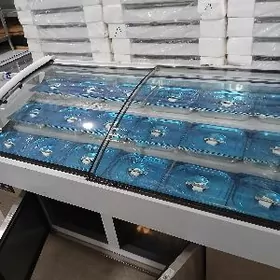 salat üçin holodilnik