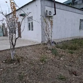 Magtymguly Plan jaý pi