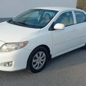 Toyota Corolla 2010