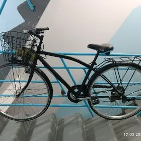 TIGIR GERMANSKI ТИГИР ГЕРМАНСК