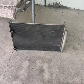 Karolla Kansaner  radiator