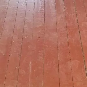 Polluk agac laminat alyas