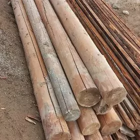 PURS AGAC ALYAN KÖNE JAYAM