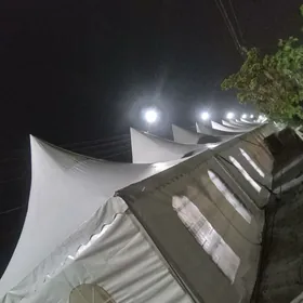 Toy hyzmatlary ofisiant palata hyzmaty