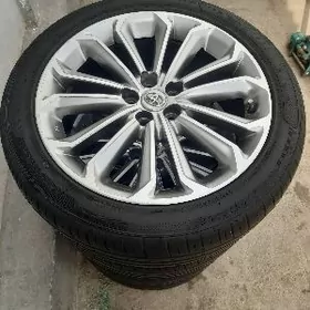 karolla Radnoý 17 lk