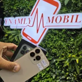 11 pro 16pro owurlen