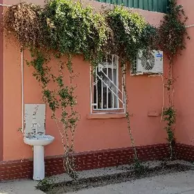 Берзен канал дача