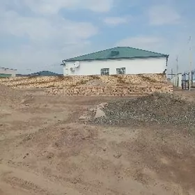 Mansur Hudaybergenov