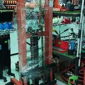 transpalet car 2 ton