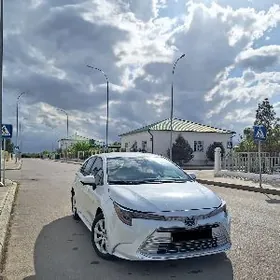 Toyota Corolla 2024