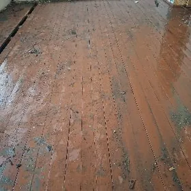 POLLUK AGAC LAMINAT ALYAN