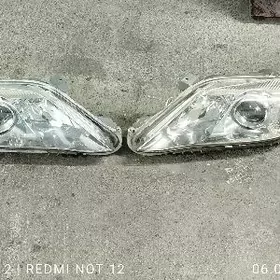 2010.11.Ökúz kelle fara.