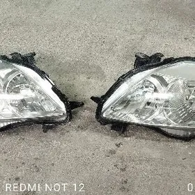 2009.10 Karolla fara.