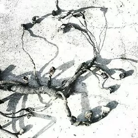 Lisichka kompyuter prowoda