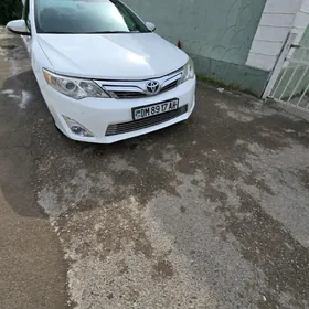 Toyota Camry 2013