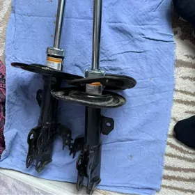 camry avalon amantizator